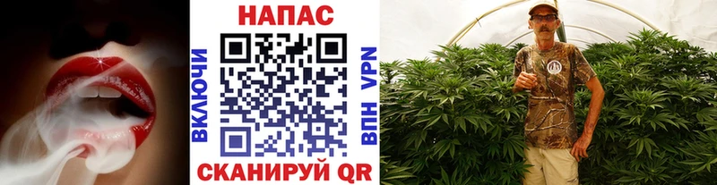 Наркошоп купить Героин  Галлюциногенные грибы  АМФ  Гашиш  Меф  Cocaine  Альфа ПВП  Зея