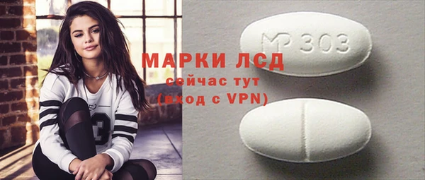 меф Ельня
