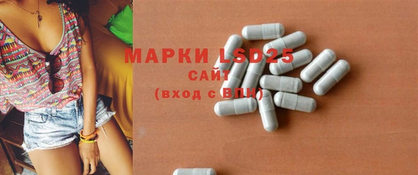 шишки Заводоуковск