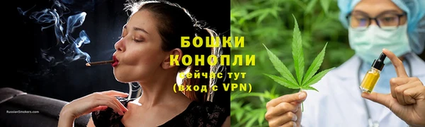 шишки Заводоуковск