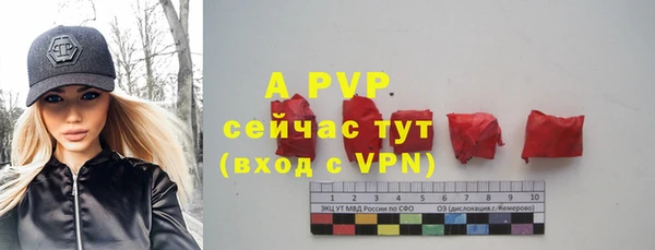 тгк Елизово