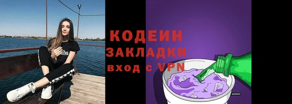 тгк Елизово