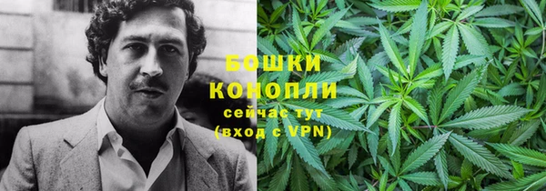 меф Ельня