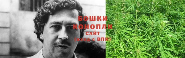 шишки Заводоуковск