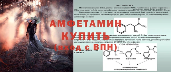 меф Ельня