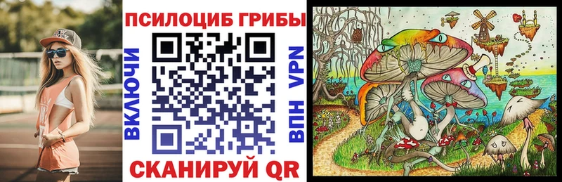 Купить закладки  Зея  Псилоцибиновые грибы мухоморы 
